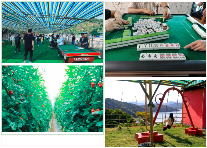 BETWAY¡¤±ØÍþ(Î÷ººÄ·Áª)¹Ù·½ÍøÕ¾-West Ham United