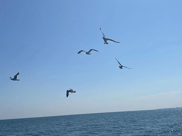 BETWAY������(����ķ��)�ٷ���վ-West Ham United