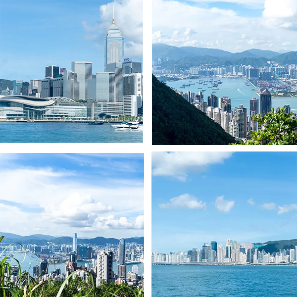 BETWAY¡¤±ØÍþ(Î÷ººÄ·Áª)¹Ù·½ÍøÕ¾-West Ham United