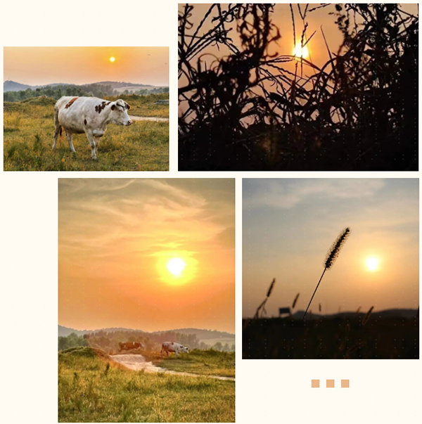 BETWAY·必威(西汉姆联)官方网站-West Ham United