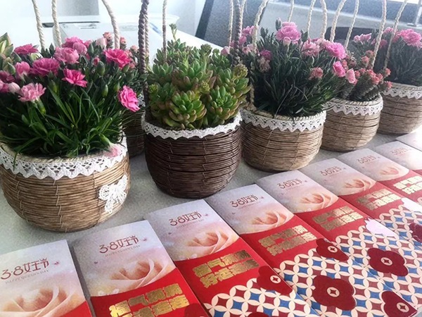 BETWAY(ķ)ٷվ-West Ham United